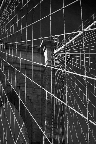 Black and white_0022